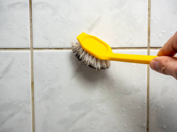 Best Affordable Mold Removal  in Rossville, GA