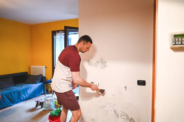 Best Mold Damage Repair  in Rossville, GA